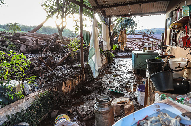 Imagem de árvores destruídas e uma casa abandonada após passagem da lama da barragem de Brumadinho. 